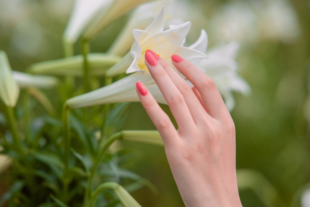 ontdek onze uitgebreide gids voor nagelverzorging. leer hoe je je nagels gezond en sterk kunt houden met handige tips, producten en technieken voor perfecte nagels.